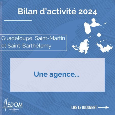 Infographie bilan des activités 2024 de l'IEDOM Guadeloupe, (…)