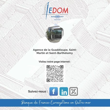 Infographie bilan des activités 2024 de l'IEDOM Guadeloupe, (…)