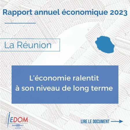Infographie RA économique La Réunion 2023